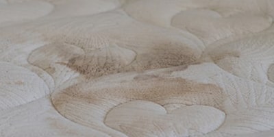 mattress mould removal hobart